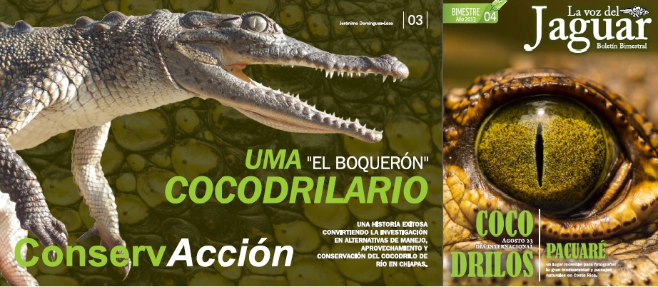 Portada Boletin Barro1.jpg